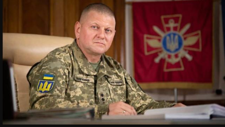 乌军总司令“被辞职”？乌克兰国防部“辟谣”遭质疑