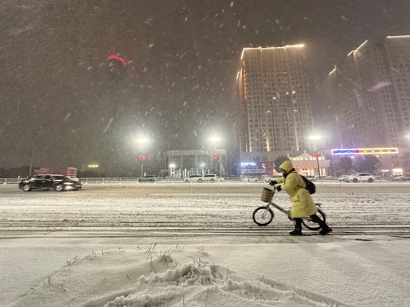 ▲1月31日，郑州市民在雪中推车前行 据视觉中国
