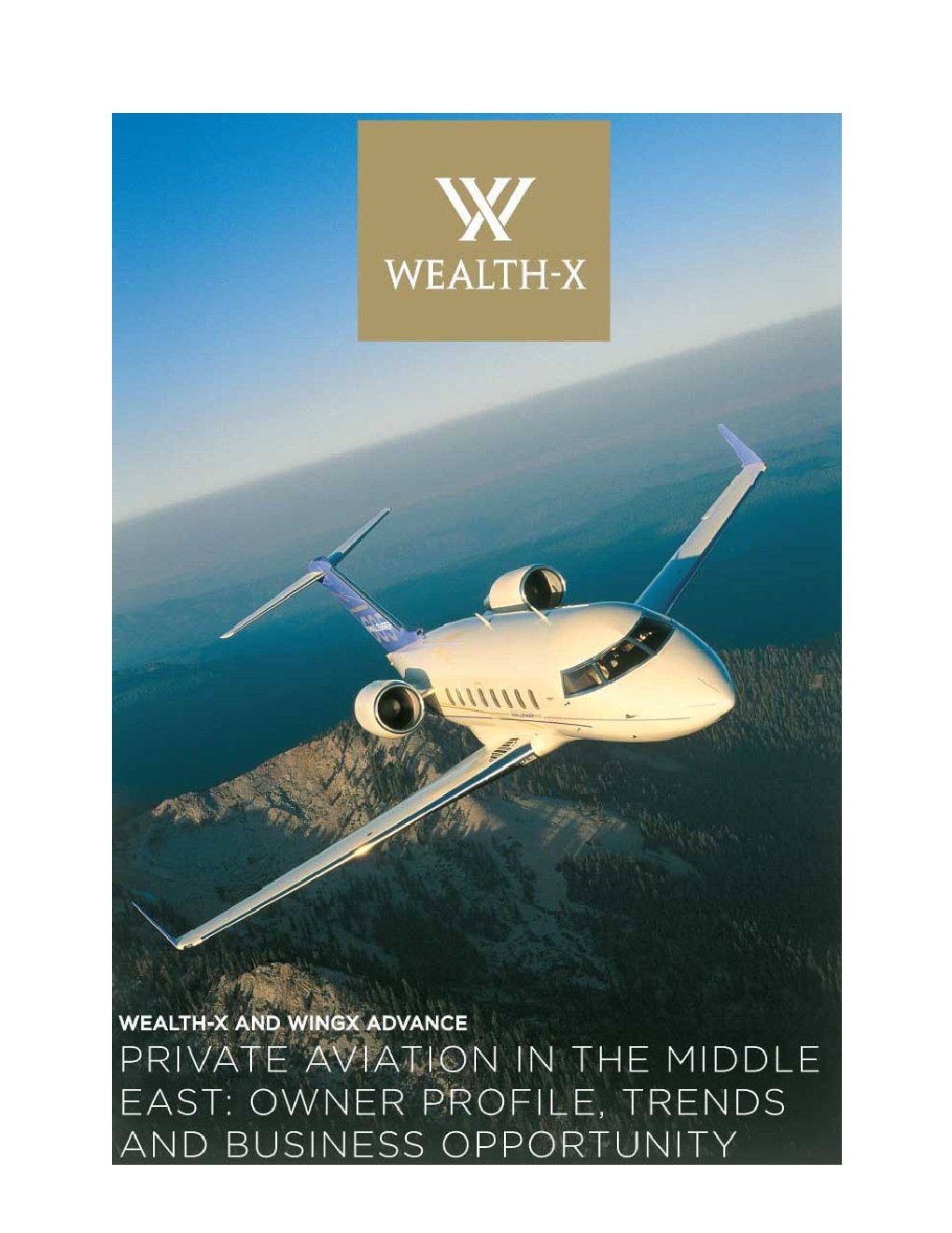 WealthX：2023年中东私人飞机报告