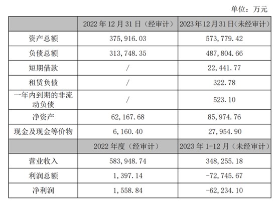 睿蓝汽车财务情况。来源：力帆科技公告