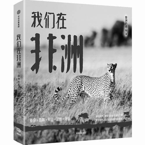 《我们在非洲》，非洲的青山著，中信出版集团2023年12月出版，定价：98元