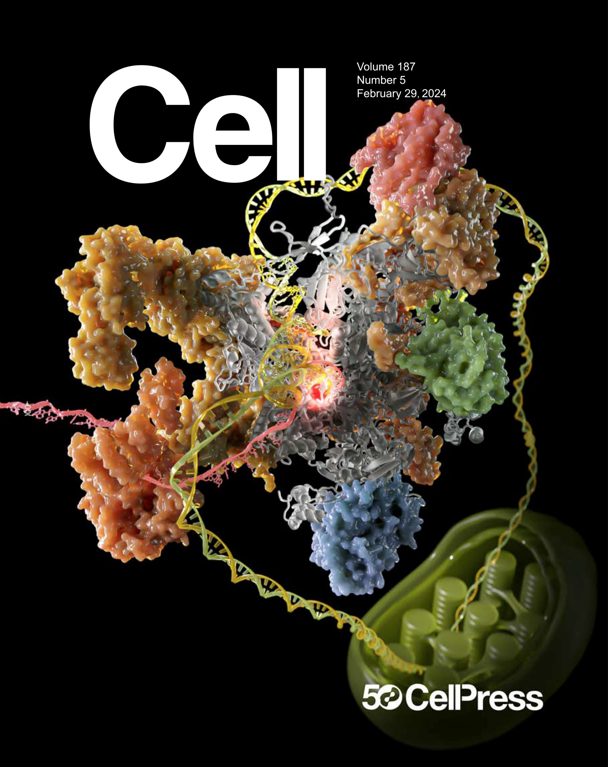 Cell封面  本文图片均为 中国科学院分子植物科学卓越创新中心 供图 