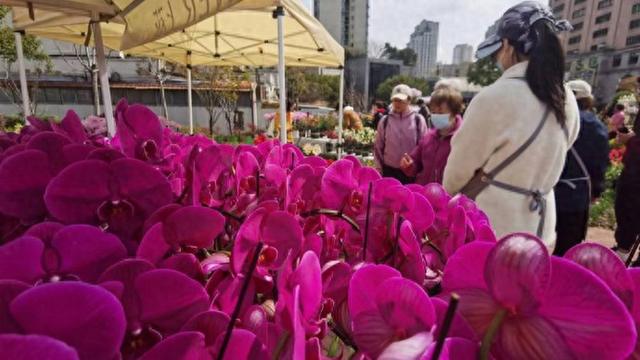 成本价卖花，还要确保公益服务时长，市民园艺中心如何持续健康发展？