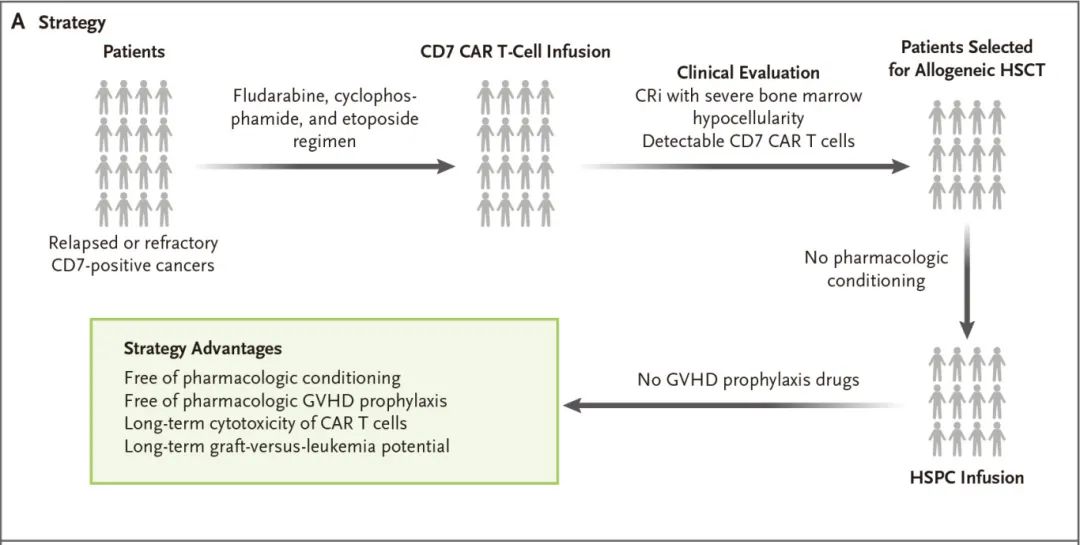 CD7 CAR-T序贯异基因造血干细胞移植新体系