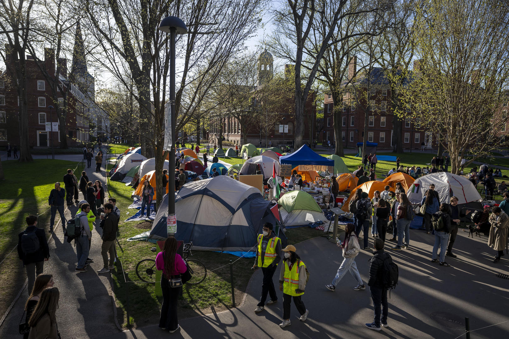 “哈佛已沦陷”？美国大学反战抗议蔓延，有学校改为线上授课