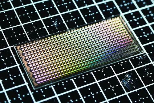 超500比特量子计算芯片“骁鸿”发布