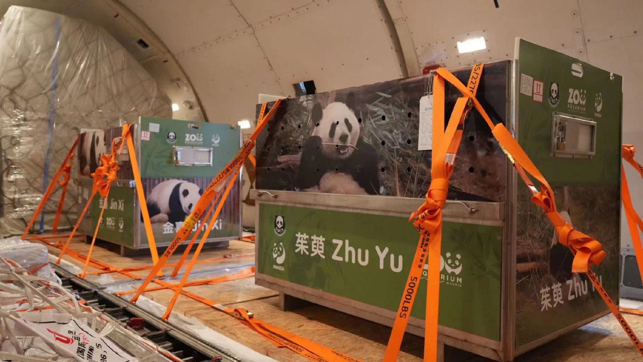 大熊猫“金喜”“茱萸”顺利抵达目的地马德里