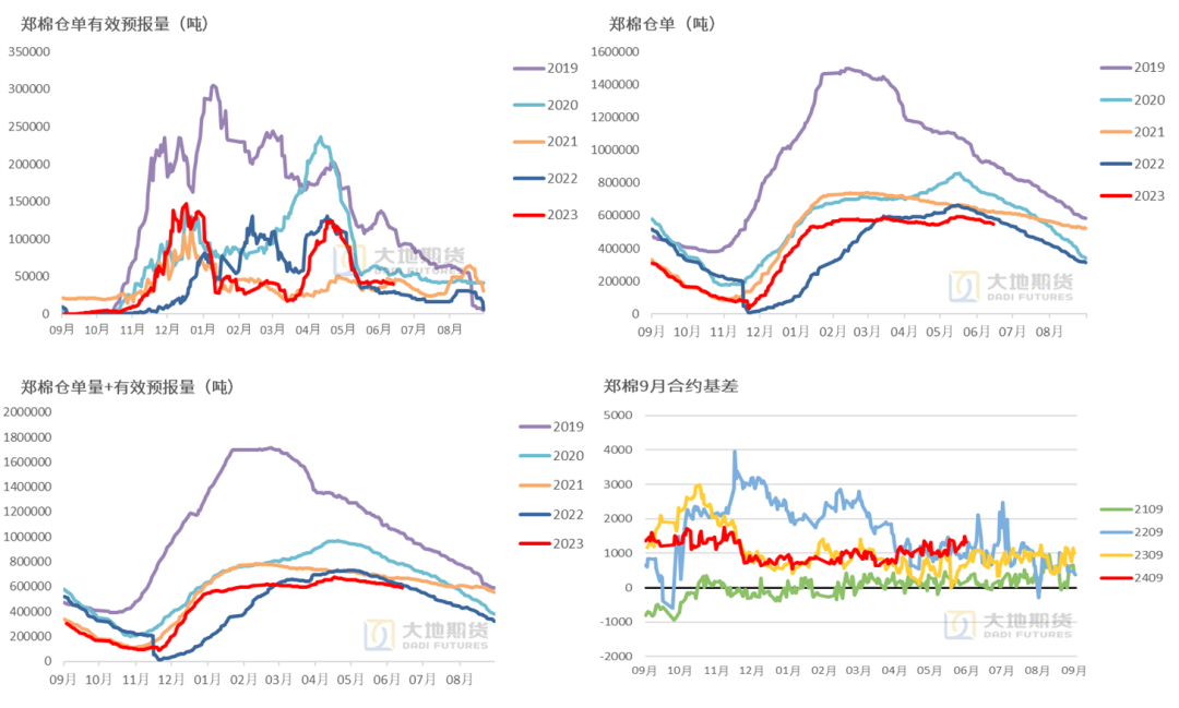 数据来源：郑商所，大地期货研究院