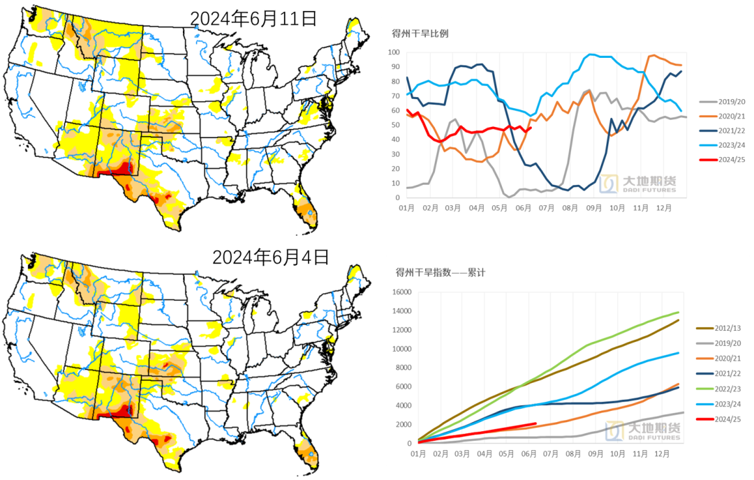 数据来源：USDA，大地期货研究院