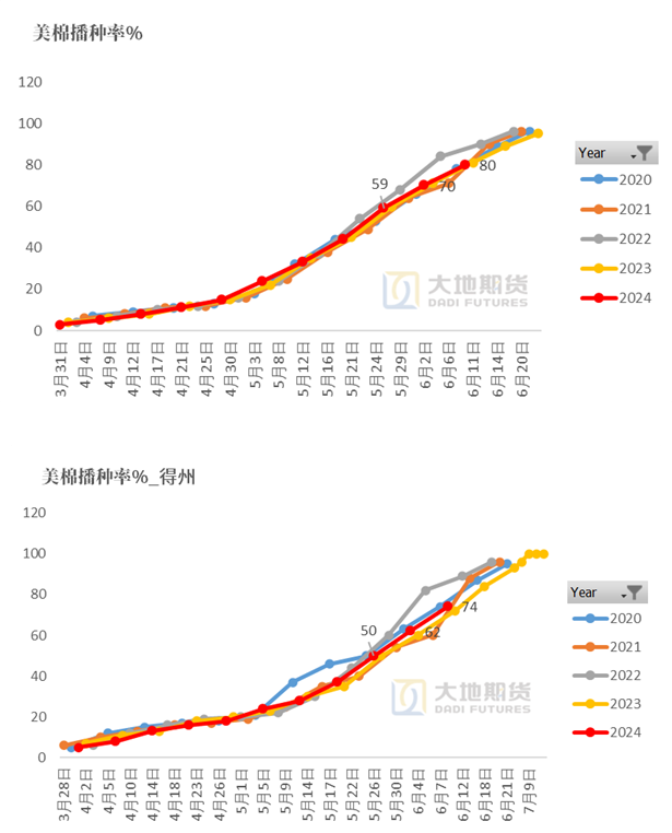 数据来源：USDA，大地期货研究院