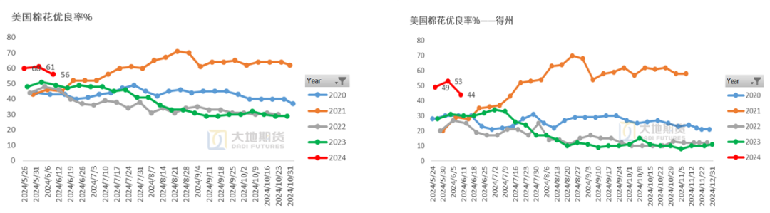 数据来源：USDA，大地期货研究院