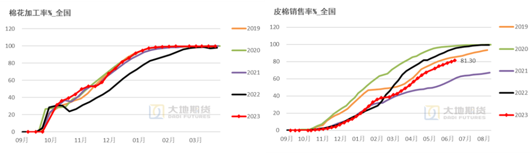 数据来源：中国棉花网，中国棉花信息网，大地期货研究院