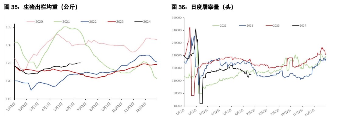 关联品种生猪所属公司：五矿期货