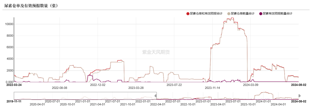 数据来源：郑商所，WIND，紫金天风期货