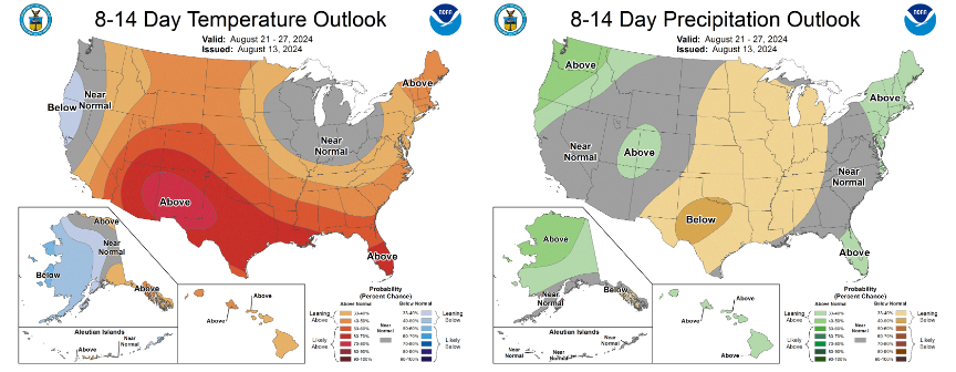 数据来源：NOAA、紫金天风期货