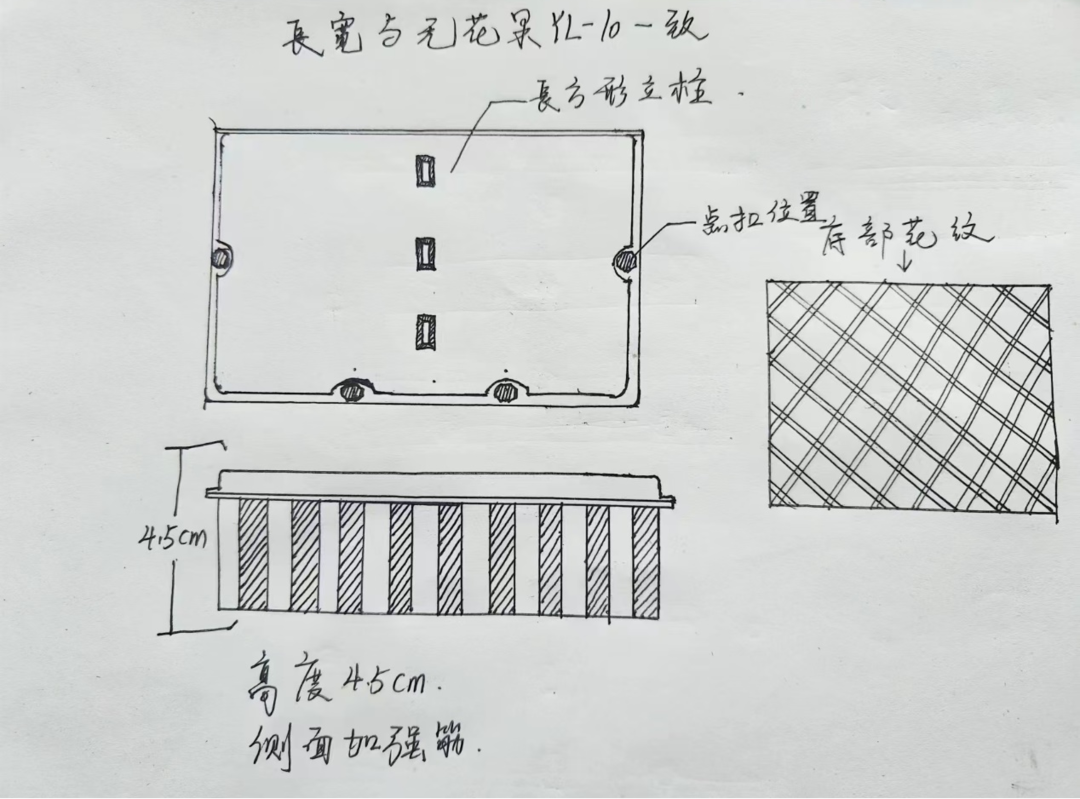 ▲ 熊亚军手绘的无花果包装设计图之一。吴川 | 摄