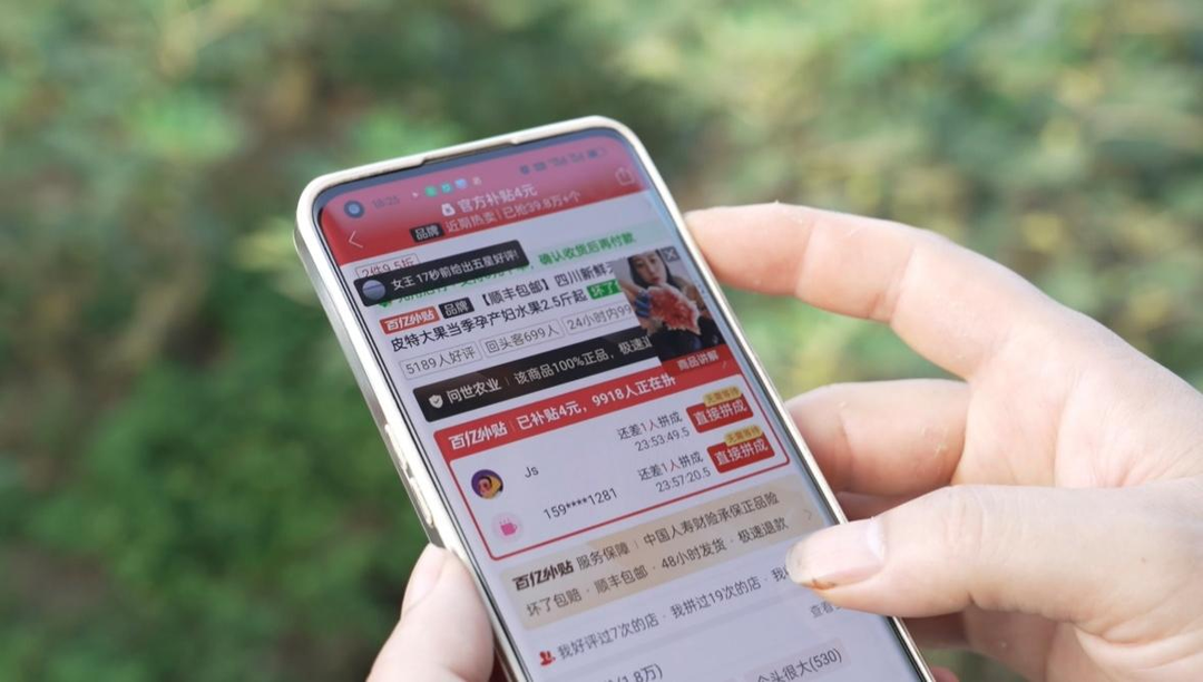 ▲ 熊亚军的无花果登上了拼多多“百亿补贴”频道。吴川 | 摄