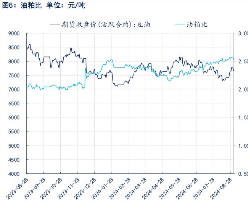 关联品种豆粕所属公司：物产中大期货