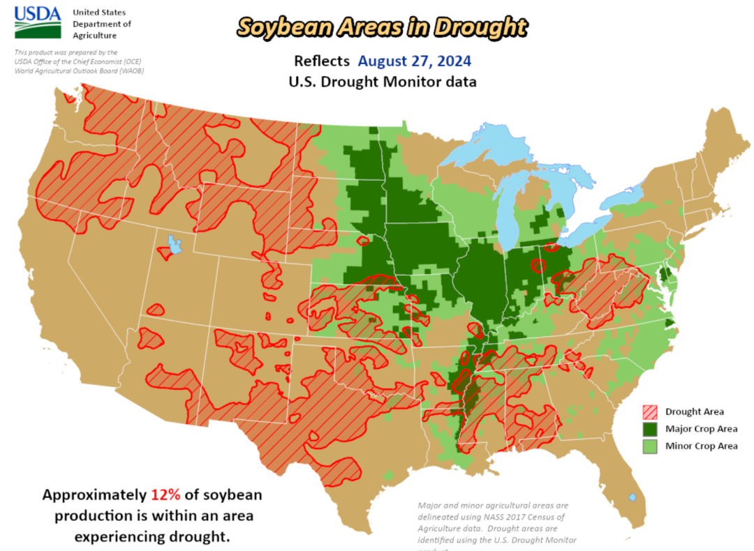 数据来源：USDA，NOAA，紫金天风期货研究所