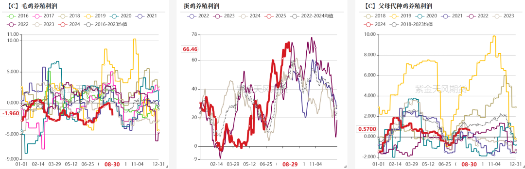 数据来源：钢联，紫金天风期货研究所