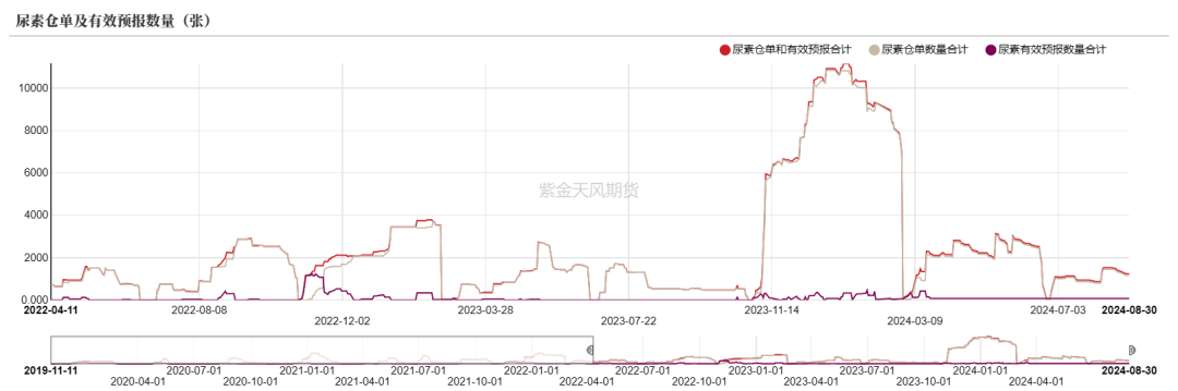 数据来源：郑商所，WIND，紫金天风期货