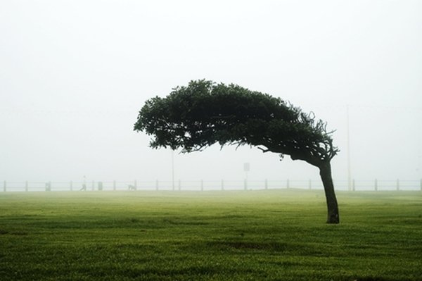 贝碧嘉登陆上海：台风十级风圈雨点像石子砸脸