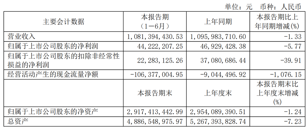 图源：红豆股份财报