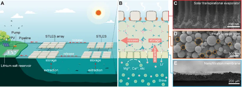 ▲ 图 1 界面光热盐湖提锂的运行机制和器件组成，图源南京大学，下同