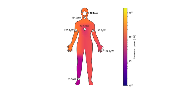 ▲当发射器（TX）安置在头部时，身体其他各部位接收到的电量功率（图片来源：YouTube）