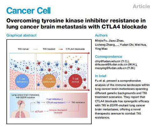 我国科学家提供克服肺癌脑转移靶向治疗耐药新方案