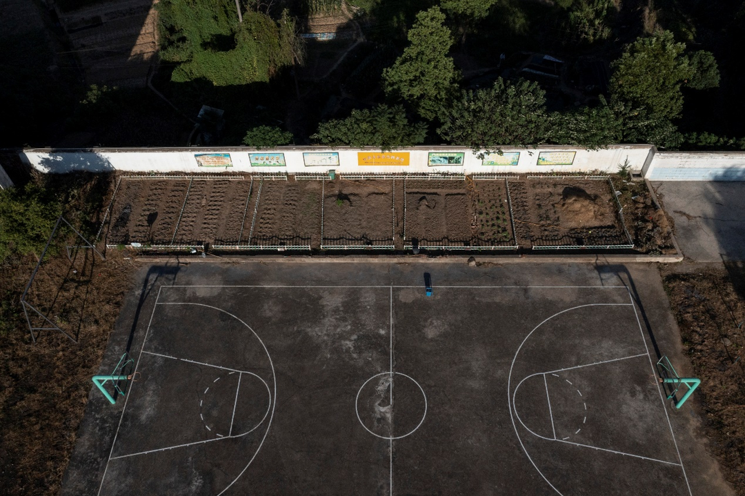 ▲黄土咀小学的太空种子基地，每块地都由一个年级认领。陈逸航 摄