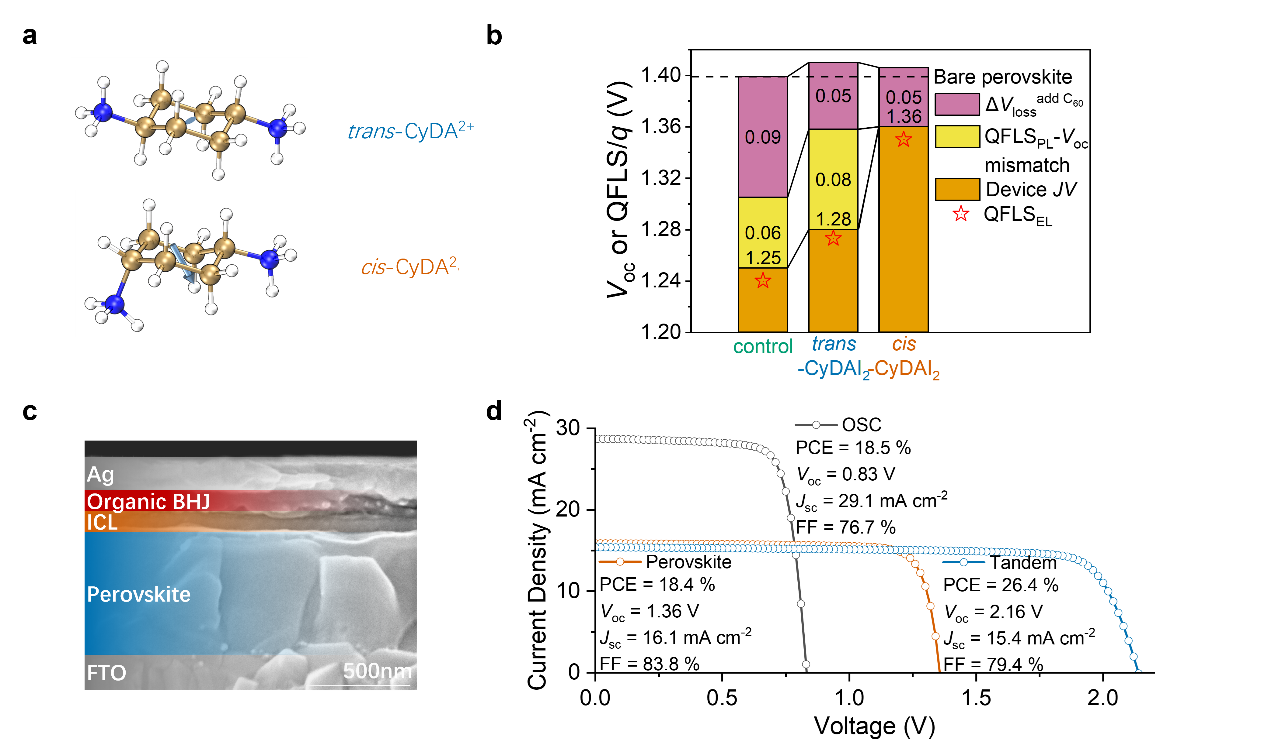 ▲ 图 1c 即钙钛矿-有机叠层太阳能电池结构示意图以及扫描电镜截面图