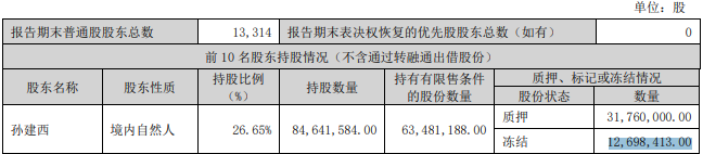 图片来源：达刚控股2024年一季度报告