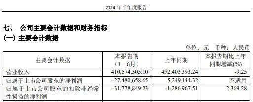 图为：日播时尚2024年半年报部分会计数据          