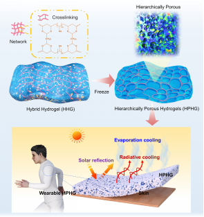 ▲多级孔水凝胶的结构设计及协同作用