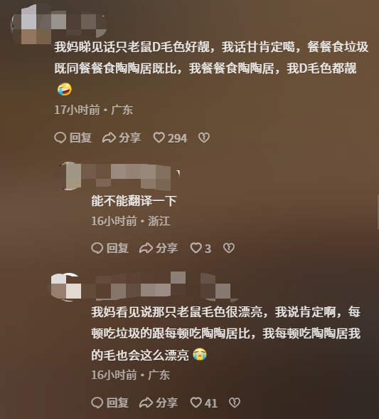 图源：抖音截图