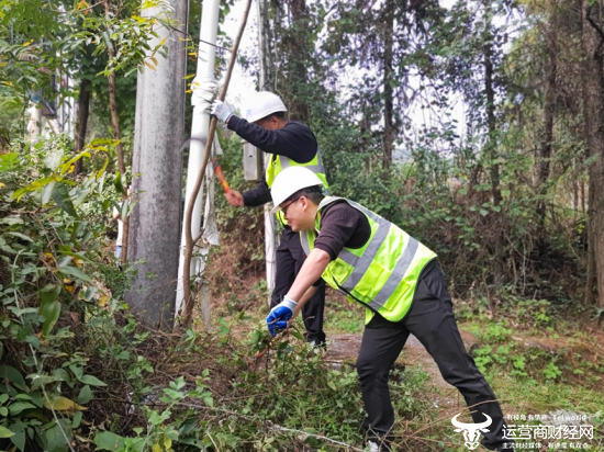 湖北移动：砍青除草守护通信安全“生命线”