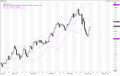 20241120—俄乌局势恶化 金价持续回升