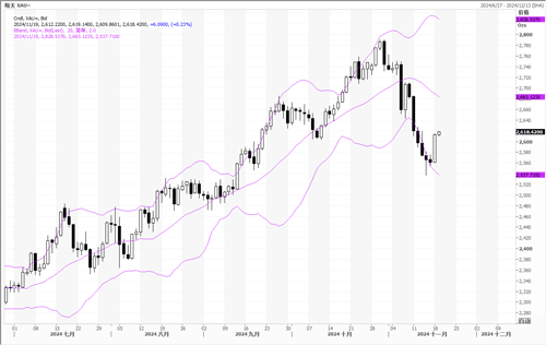 20241119—地缘政治升温 触发金价反弹