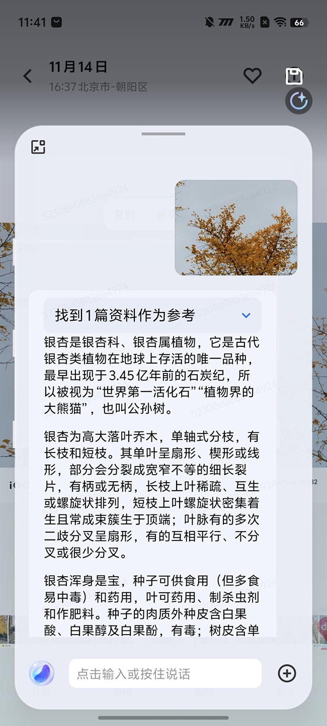 iQOO Neo10 Pro拥有更出色的识屏能力，比如你不知道照片的地点是哪里、拍摄的植物是什么，都能通过问屏一步搞定。