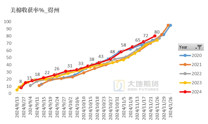 数据来源：USDA，大地期货研究院