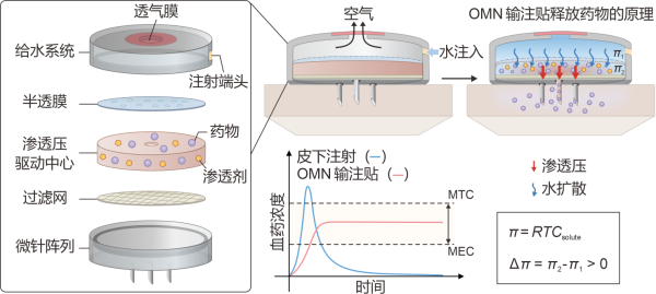 可穿戴贴敷式输注贴（Osmotic microneedle patch, OMN）基本结构及原理图