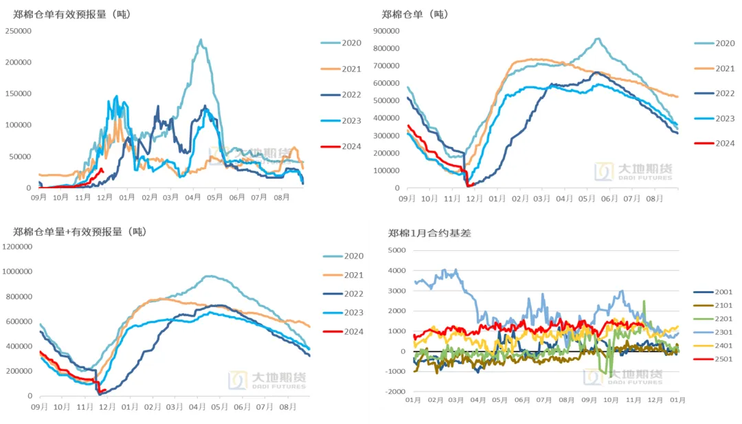 数据来源：郑商所，大地期货研究院