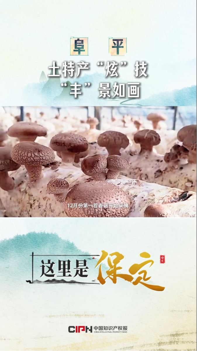 这里是保定 | 阜平：土特产“炫”技 “丰”景如画