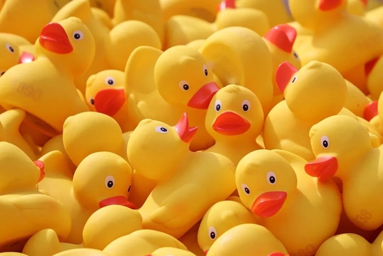 近三万只塑料玩具动物意外掉进了海水中！| Pixabay