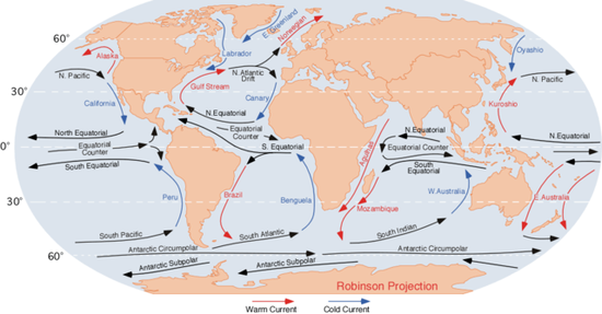 海洋表面的洋流。| Wiki