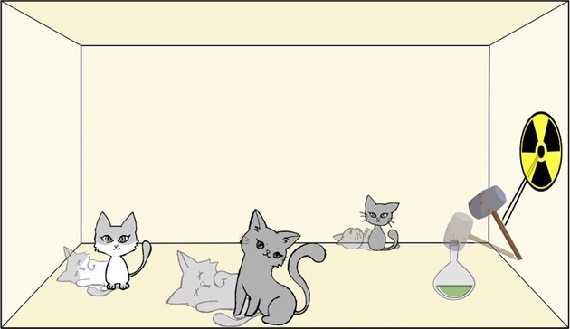 清华首次实现四体“薛定谔猫”态，有助量子计算与量子网络