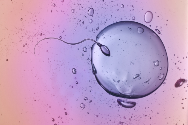 精子年龄新测量方法可能是妊娠成功的预测指标